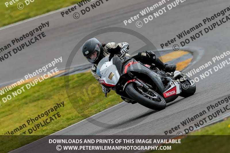 PJ Motorsport 2019;anglesey no limits trackday;anglesey photographs;anglesey trackday photographs;enduro digital images;event digital images;eventdigitalimages;no limits trackdays;peter wileman photography;racing digital images;trac mon;trackday digital images;trackday photos;ty croes